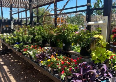 samsnurseryandlandscaping